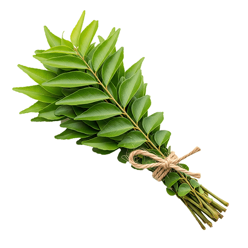 Organic-Ceylon-Curry-Leaves.png
