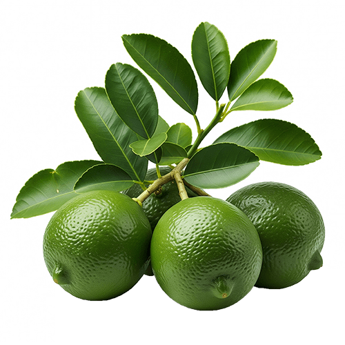Organic-Ceylon-Lime.png