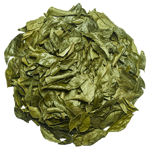 Organic-Curry-Leaves.png